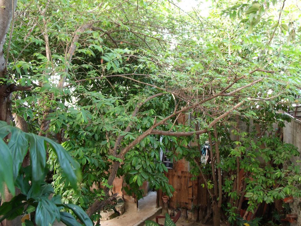 Casitas Kinsol Hotel Puerto Morelos Ngoại thất bức ảnh