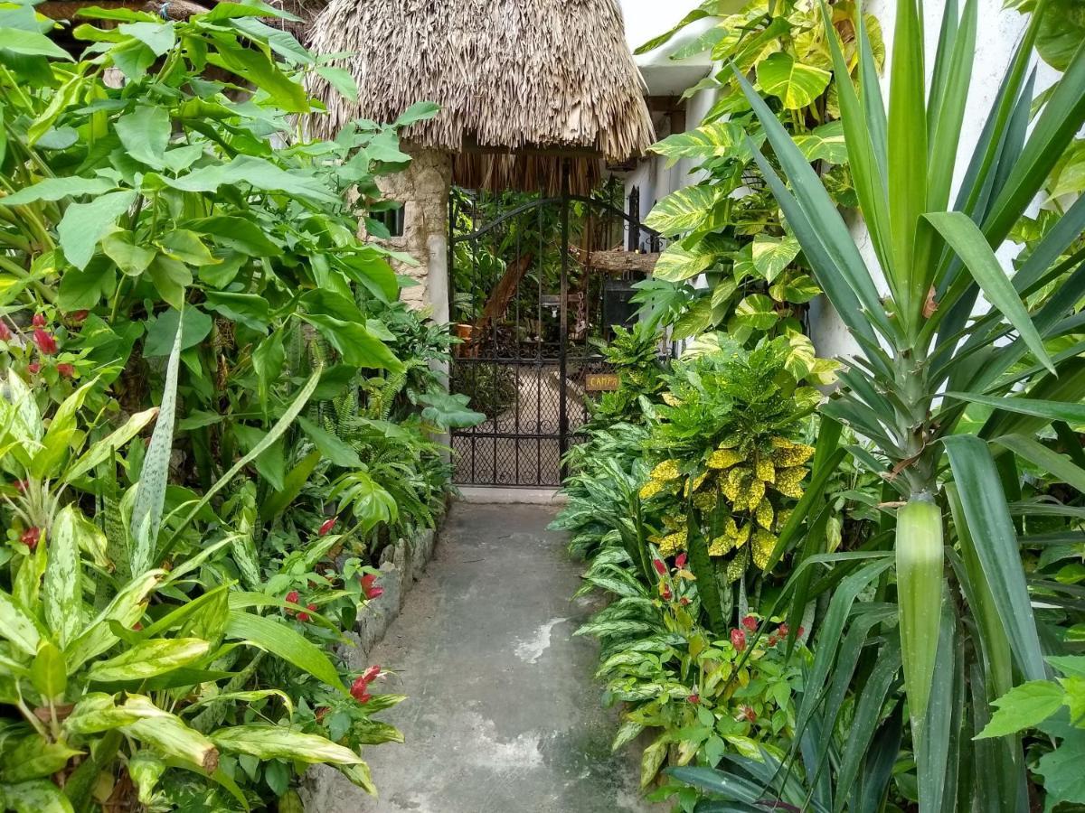 Casitas Kinsol Hotel Puerto Morelos Ngoại thất bức ảnh