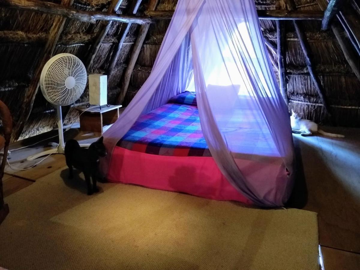 Casitas Kinsol Hotel Puerto Morelos Ngoại thất bức ảnh