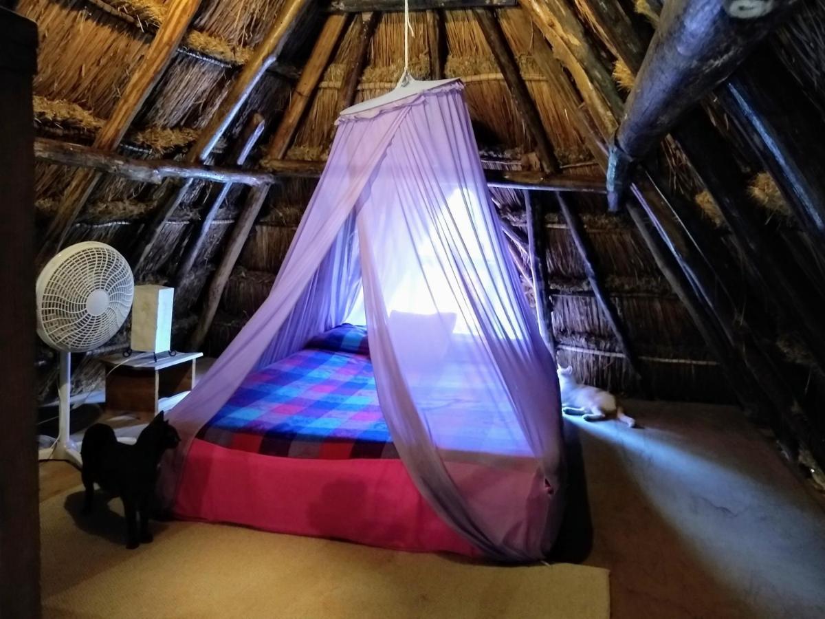 Casitas Kinsol Hotel Puerto Morelos Ngoại thất bức ảnh